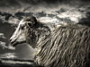 HDR-Bild