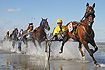 Sportevent